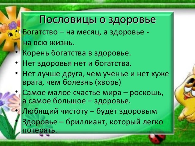 Зоосалоны, стрижка собак и кошек в Минске, отзывы, телефоны и адреса на Завораживающие фото со свадьбы в стиле «Гарри Поттера